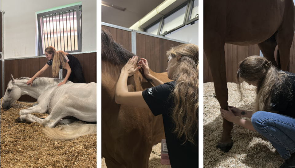 和职场的影 和职场的影