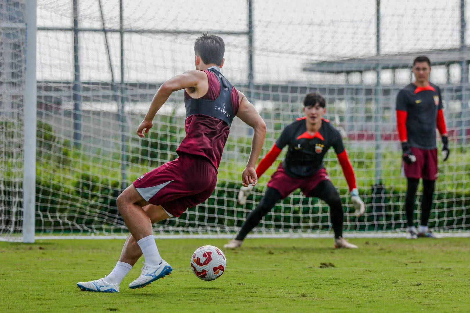 夺冠目标提, em, cente